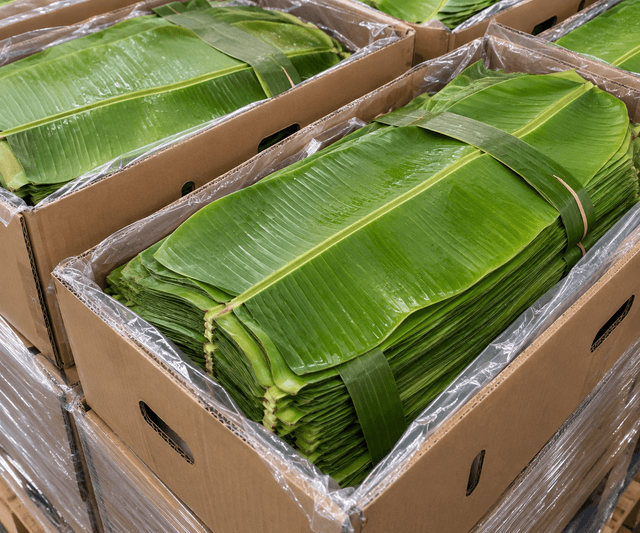 Banana Leaf
