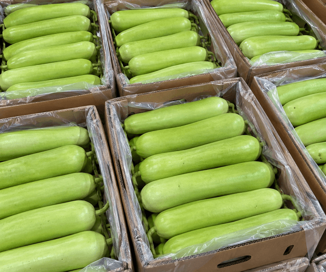 Bottle Gourd · Lauki