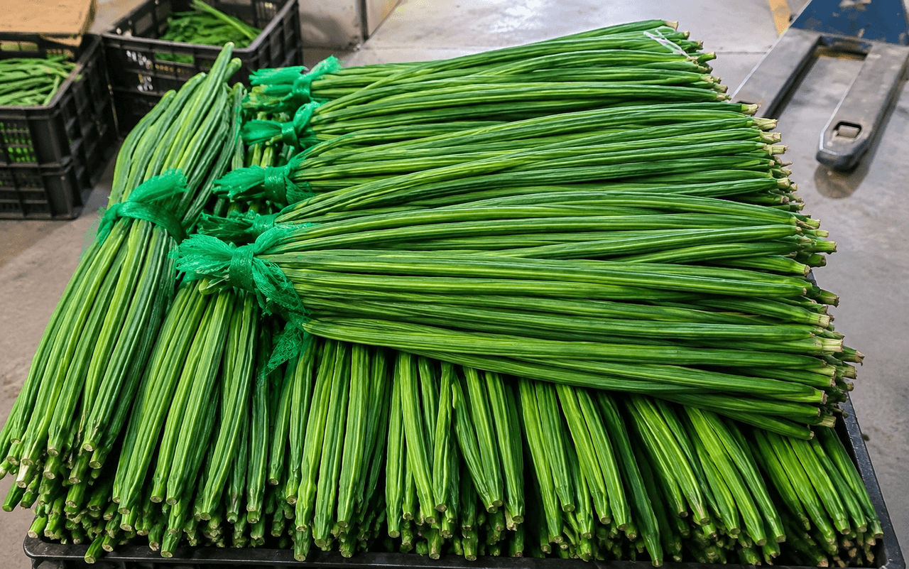 Drumsticks · Moringa Pods