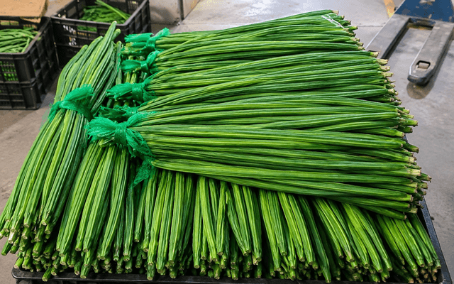 Drumsticks · Moringa Pods