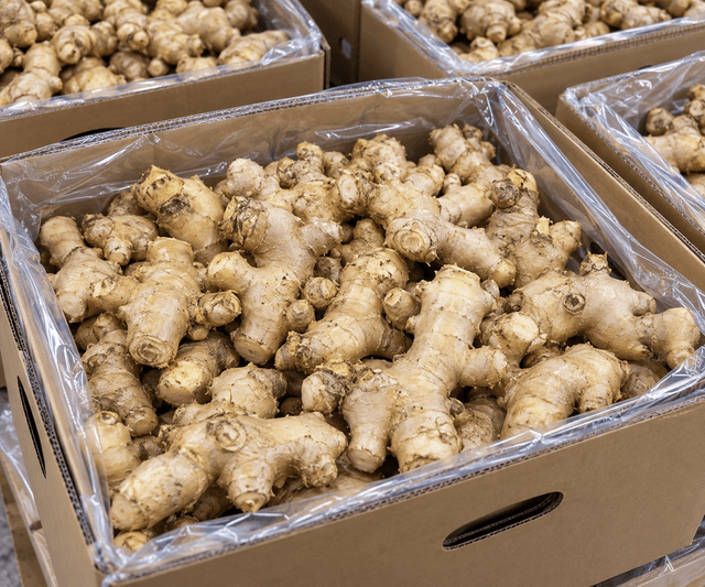 Ginger · Fresh