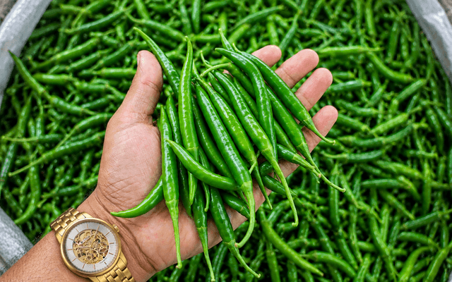 Green Chilli · G4