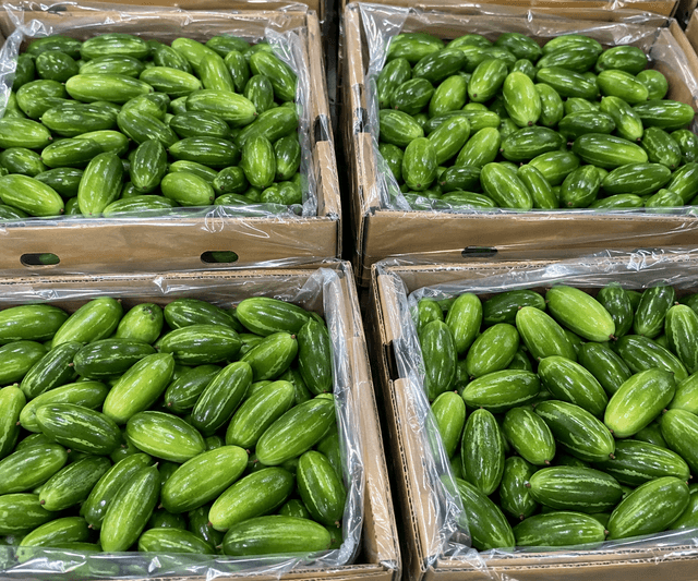 Tendli · Ivy Gourd